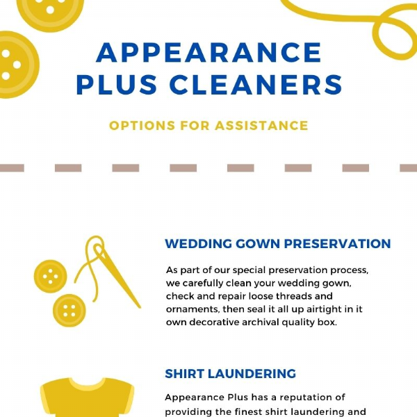 Appearance Plus Cleaners Services Infographic